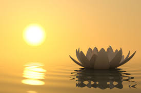 Weekly Mindfulness: Monday Night Meditation & Wednesday Online Guided Meditation
