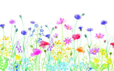 The Steeple Newsletter