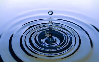 The Steeple Newsletter