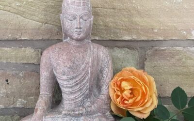 Introduction to the Science and Practice of Mindfulness: A Four-Week Series with Effie Stavrulaki