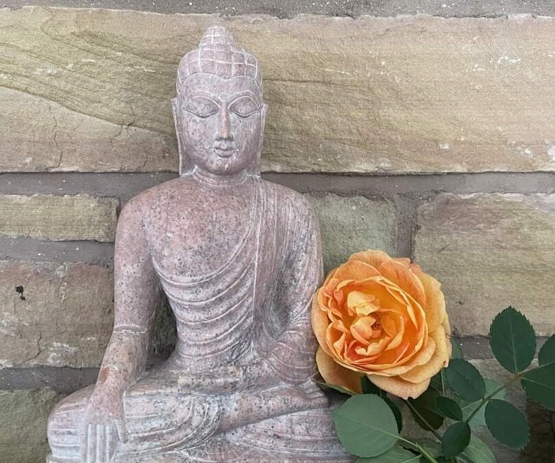 Introduction to the Science and Practice of Mindfulness: A Four-Week Series with Effie Stavrulaki