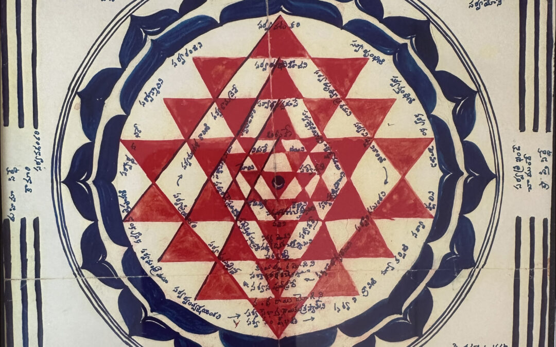 The Steeple Newsletter