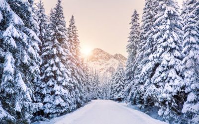 December Journeys: An Evening of Jazz, Chamber Music, & Poetry for the Holidays